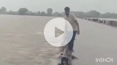 बारिश से उफान पर बह रही सिंध नदी; दतिया, ग्वालियर और शिवपुरी को जोड़ने वाला बड़गौर पुल डूबा