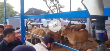 भिवानी: मनीषा मामले पर मुख्यमंत्री नायब सिंह सैनी ने कहा- मनीषा हमारी बेटी है, विपक्ष राजनीति न करे