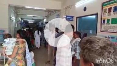 अरवल: धान सोहनी के दौरान महिला को सांप ने काटा, इलाज के लिए सदर अस्पताल में भर्ती