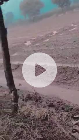 Alwar jila tahsil Rani Pali