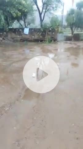 पिराला गांव में हुई ज्यादा बारिश बारिश के हालात बिगड़ते जा रहे हैं ज्यादा ज्यादा बारिश के कारण हुए किसानों को नुकसानद