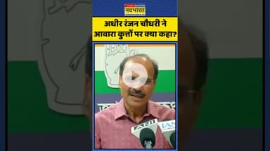 SC On Stray Dogs: अधीर रंजन चौधरी ने आवारा कुत्तों पर क्या कहा? | #shorts #supremecourtofindia