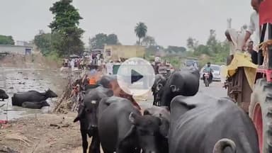 धनौरा: लगातार गंगा का जलस्तर बढ़ने के कारण गजरौला तिगरी गंगा धाम में अंतिम संस्कार करने में हो रही परेशानी