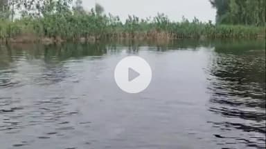 धनौरा: पहाड़ी इलाकों में हो रही बारिश, गजरौला के कई गांवों में बाढ़ जैसे हालात, किसानों को हुआ नुकसान