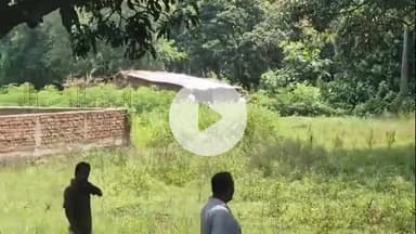 बेगूसराय: बेगूसराय में पुलिस कस्टडी से अपराधी फरार, पुलिस विभाग में खलबली; जांच जारी