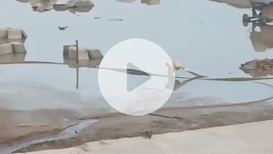 जेबीएम यूनिवर्सिटी द्वारा सेक्टर 22ई यमुना औद्योगिक विकास प्राधिकरण गौतम बुद्ध नगर में बड़ा जल दोहन बोरिंग करके जल स्तर को तोड़ा जा रहा है।