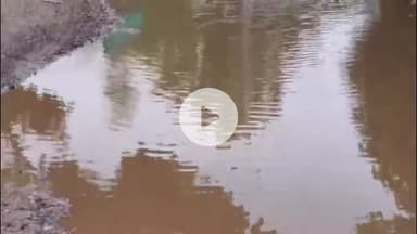 बाढ़: बाढ़ में जलजमाव और जर्जर सड़क से लोग परेशान; जगह-जगह सड़क पर जमा है पानी, लोग हैं परेशान #jansamasya