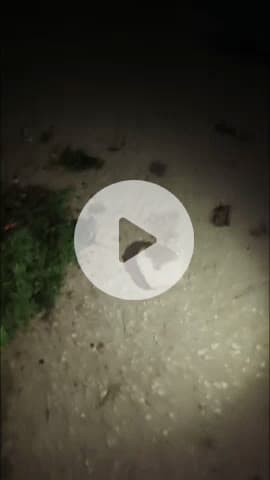 भुसावर: कस्बा वैर के ऐतिहासिक भुसावर दरवाजे से अचानक गिरे पत्थर, बाल-बाल बचे तीन लोग