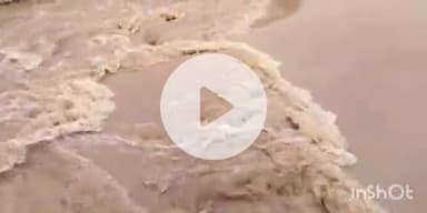 फतुहा: भुतही, महतमाइन और धोवा नदी में जल स्तर बढ़ने से टूटा तटबंध