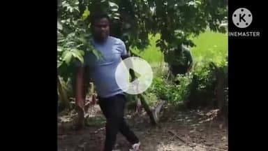 बगहा: रामनगर में अजगर निकलने से हड़कंप