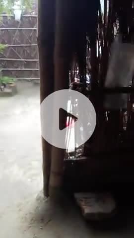 kirpiya bijli bil se bach ke rhe______bina bil ke lain na jray🫰🫵🫳