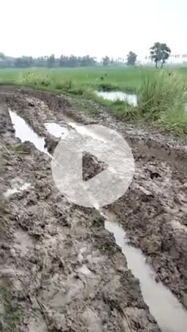 punpun akona panchayet rod 
villege baisa