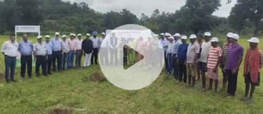 दंतेवाड़ा: एनएमडीसी द्वारा बचेली में वृक्षारोपण कार्यक्रम का आयोजन किया गया