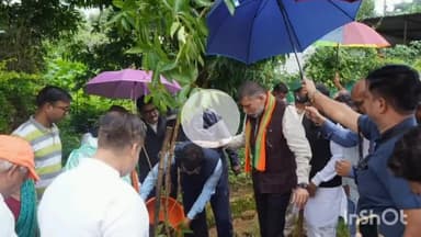 जगदलपुर: पंडित सुंदरलाल शर्मा वार्ड में एक पेड़ मां के नाम अभियान के तहत पौधारोपण कार्यक्रम का आयोजन, विधायक किरण देव हुए शामिल