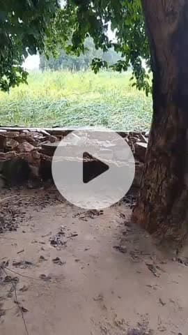 वैर: चक खेड़ली गुर्जर के सरकारी विद्यालय की बाउंड्री वॉल की एक तरफ की दीवार गिरी, हादसे के दौरान विद्यालय में बच्चे नहीं थे