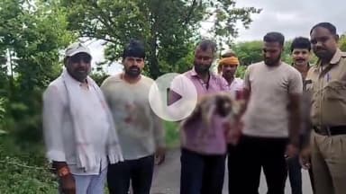 बीना: ग्राम नौगांव बरोदिया रोड पर कुत्तों के काटने से मृग शावक की मौत, मौके पर पहुंची डायल 112