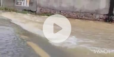 फतुहा: मोमिंदपुर पंचायत में बाढ़ से तबाही, धान की फसल बर्बाद