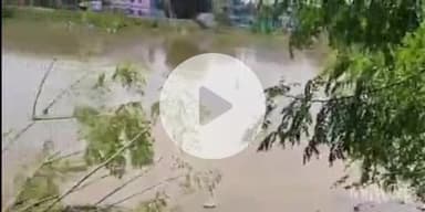 फतुहा: दीदारगंज थाना क्षेत्र में पुनपुन नदी में मिला युवक का शव, हत्या की आशंका