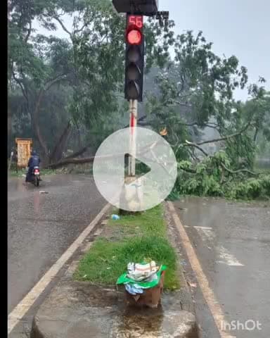जगदलपुर: जगदलपुर से रायपुर जाने वाले मार्ग आमागुड़ा में पेड़ गिरने से आवागमन बाधित, यातायात पुलिस ने किया बहाल
