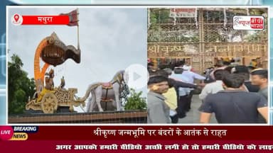 Mathura News: #बंदरों के #आतंक से राहत, श्रीकृष्ण #जन्मस्थान सेवा संस्थान ने शुरू की अनोखी पहल
#मथुरा