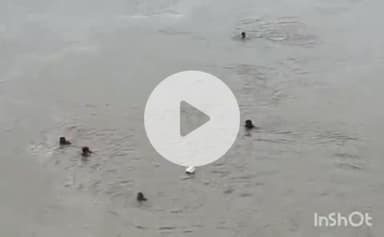 एत्मादपुर: जान को जोखिम में डालकर लगभग आधा दर्जन युवक यमुना में लगा रहे रेस, अंबेडकर पुलिस का वीडियो हुआ वायरल