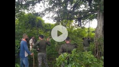 नबीनगर: जोगिया पहाड़ के जंगल से पुलिस ने बरामद किया अज्ञात व्यक्ति का शव, जांच में जुटी