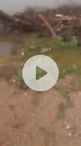 मारवाड़ जंक्शन: मारवाड़ जंक्शन राणावास के निकट सुकड़ी नदी के तेज बहाव में बहा बाइक सवार, पुलिस ने निकाला बाहर