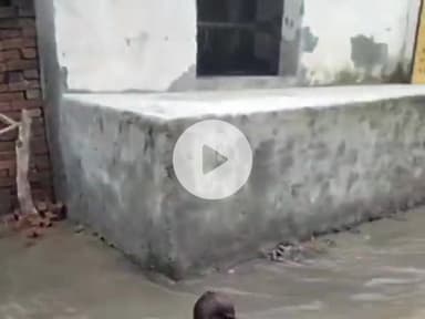 धनौरा: मैदानी इलाकों में हो रही बारिश के कारण, गजरौला क्षेत्र के कई गांवों में बाढ़ जैसे हालात