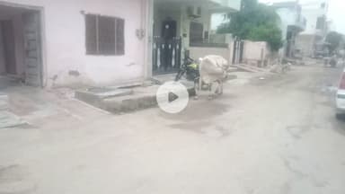 भीलवाडा के वार्ड 64 सुभाषनगर मे सडक क्षतिगस्त  ओर सडकों पर गाये घुम रही है जिससे आमजन को आनेजाने मे परेशानी हो रही हे