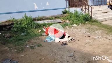 सासाराम: कारवदिया थाना क्षेत्र की एक महिला की सांप काटने से हुई मौत