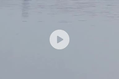 गया टाउन सीडी ब्लॉक: मल्लाह टोली नदी में मिला एक वृद्ध महिला का शव, नहीं हो सकी पहचान; पोस्टमार्टम के लिए भेजा गया