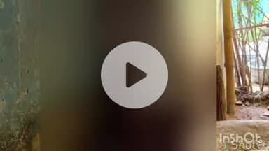 ब्यौहारी: ब्यौहारी के बरकछ गांव में फांसी पर झूलने से वृद्ध की मौत, जांच जारी