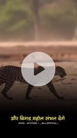 #fact #news #newvideos #trending