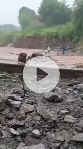 बद्दी: बद्दी के मानपुरा ढेला मार्ग पर टूटा पुल बना खतरा, बच्चे व प्रवासी मजदूर जान जोखिम में डालकर नदी पार कर रहे हैं