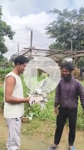 जनजाति सामाज नेचुरल जीव जंतु के सुंदर छाल/पंख का इस्तेमाल अपने नाच गान सजावट और फैशन प्रयोग करते आए करम सरहुल में देखें