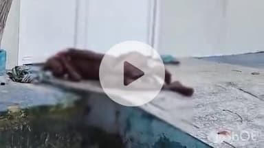 अरवल: सदर अस्पताल मोड़ के पास लावारिस हालत में मिला वृद्ध का शव, नहीं हो सकी पहचान