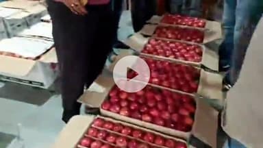 टापरी: टापरी सेब मंडी में सेब के बढ़े दाम, ₹2200 से ₹2500 तक बिक रही सेब की बड़ी पेटी