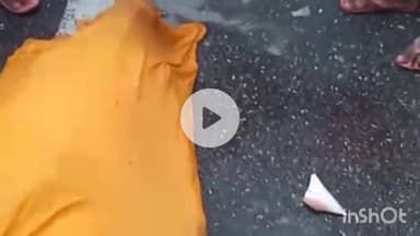 गढ़वा: गढ़वा जिले में फोरलेन पर मेढ़ना के पास भीषण सड़क हादसे में युवक की मौत