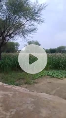 today rawali ki kothi anantwara m barish