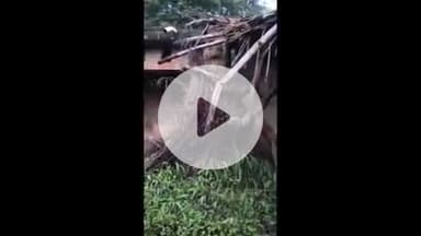 सिराथू: लगातार हुई बरसात के चलते गांव में कच्चा घर गिरा, मौजूद लोगों ने भागकर बचाई जान