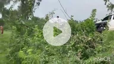 बांसवाड़ा: टिंबागामड़ी गांव के स्टेट हाइवे पर सड़क किनारे स्थित ट्रांसफार्मर से करंट की चपेट में आने से भैंस की हुई मौत