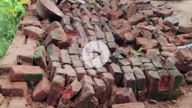 बगोदर: अटका में हाथियों ने हमला कर दो मवेशियों को किया घायल