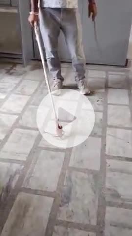 लक्सर: लक्सर के मख्याली कला गांव के राजकीय प्राथमिक विद्यालय में निकला भारत का सबसे जहरीला सांप, वन विभाग ने किया रेस्क्यू