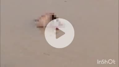 अरवल: सोन नदी के जनकपुर घाट पर तैरता हुआ शव मिला, पुलिस को दी गई सूचना