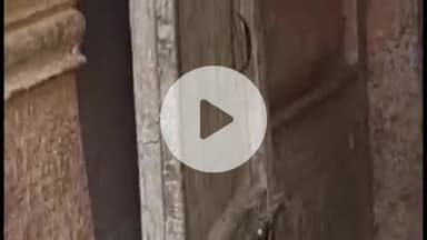 करौली: शहर स्थित सब्जी मंडी में चोरों ने एक दुकान का गेट तोड़कर गल्ले से चुराए ₹5,000