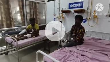 चित्तौड़गढ़: कारुण्डा गांव में भैंस से टकराने पर बाइक सवार 2 युवक हुए घायल, जिला चिकित्सालय में उपचार जारी