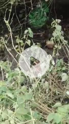 राजातालाब: वाराणसी के पंडितपुर में मिला नर कंकाल, पुलिस जांच में जुटी