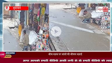 वृंदावन: सांडों की लड़ाई का वीडियो वायरल, बाल-बाल बचा पुलिसकर्मी
#मथुरा #वृंदावन #पुलिसकर्मी #लड़ाई