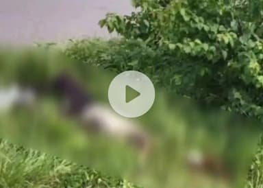 बिल्हौर: बिल्हौर के कानपुर-अलीगढ़ हाईवे पर बकोठी खलवा के पास मिला तीन-चार दिन पुराना शव, एक्सीडेंट से मौत की आशंका