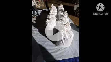 चित्तौड़गढ़: गंगरार: नरपत की खेती ओवर ब्रिज पर नारकोटिक्स विभाग की टीम ने की बड़ी कार्रवाई, डोडा चुरा किया ज़ब्त